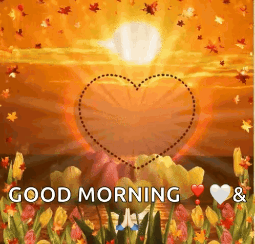 Love Heart GIF