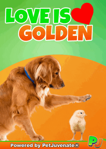 Love I Love Puppy GIF