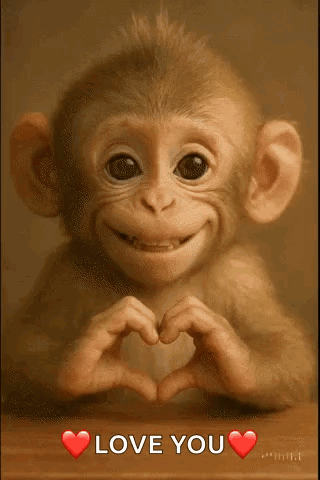 Love I Love You GIF