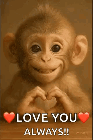 Love I Love You GIF