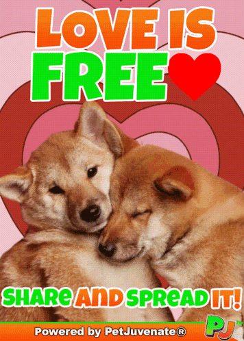 Love Is Share The Love GIF