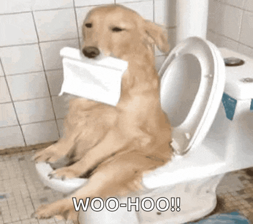 Love GIF
