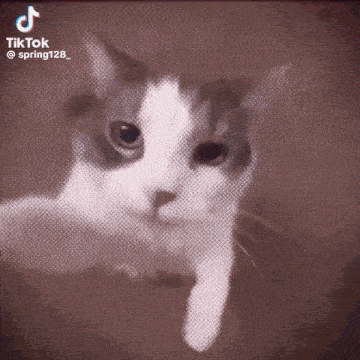 Love Love You GIF