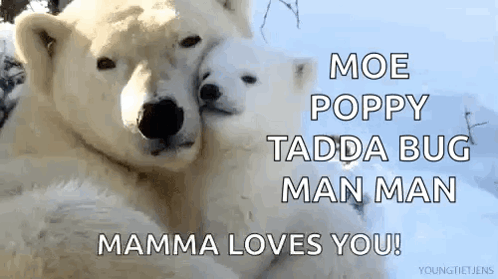 Love Polar Bear GIF