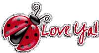 Love Ya Ladybird Sticker