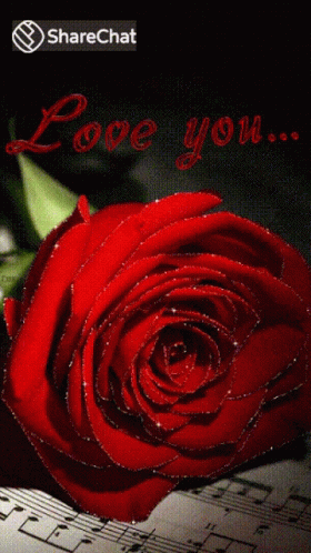 Love You आईलवयू GIF