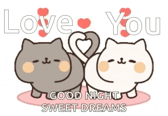 Love You Cat GIF