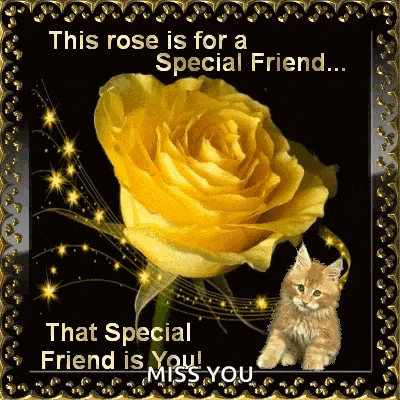 Love You Cat GIF