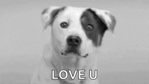 Love You Doggo GIF. This 498 x 280 animated GIF is part of our simpsons suspicious dog collection. Related themes include love, love you. View the original…