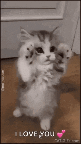 Love You Hugs GIF