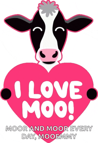 Love You I Love You GIF