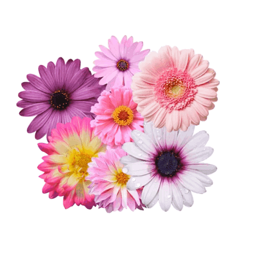 Love You Mom Happy Mothers Day GIF