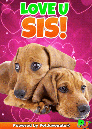 Love You Sis Sister Fun Cute Dog Pet Mom Gif Petjuvenate Pj Love U GIF