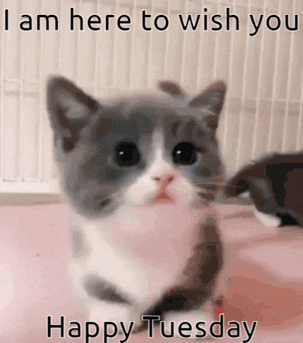 Love You GIF