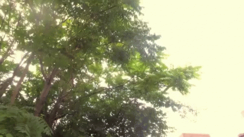 Lovers Couple GIF. This 498 x 280 animated GIF is part of our relationship goals tumblr collection. Related themes include couple, walking. Created by lauv…