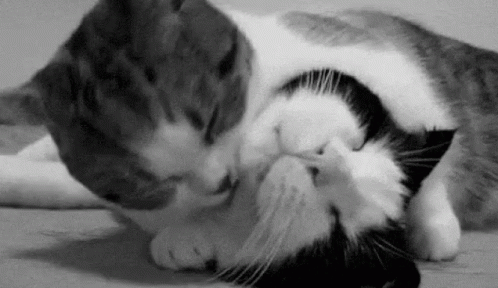 Loving GIF
