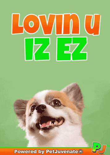 Loving You Is Easy Love GIF