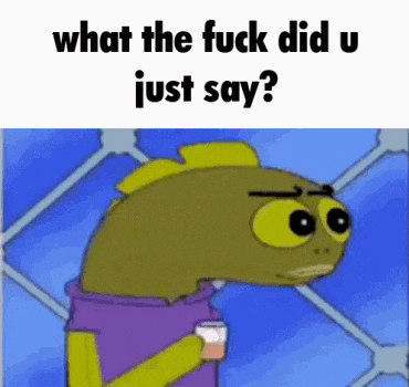 Lower Role What The Fuck Did U Just Say GIF