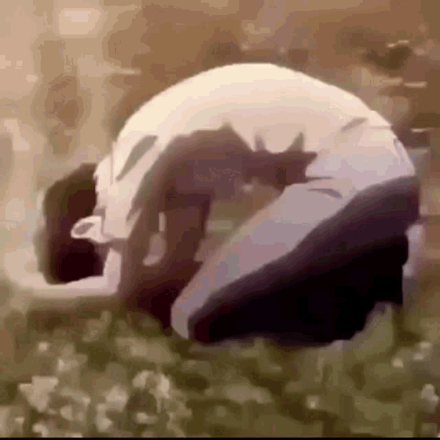 Loxidbixol GIF