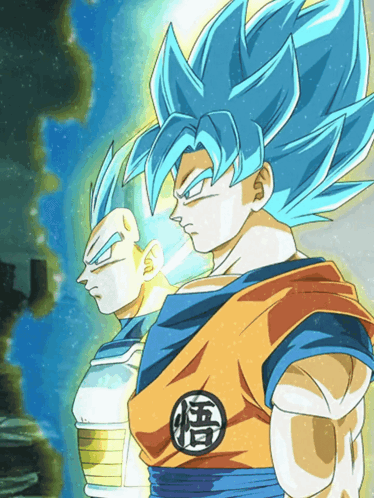 Lr Agl Super Saiyan God Ss Goku And Super Saiyan God Ss Vegeta All Out Final Battle GIF