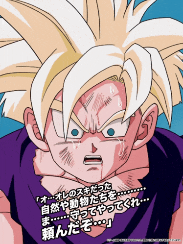 Lr Phy Super Saiyan 2 Gohan Youth Fighter Entrusted With Fate GIF