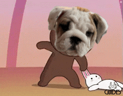Lsp Guidespfp GIF