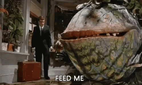Lttle Shop Of Horrors Feed Me GIF