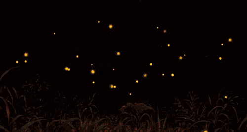 Luciérnagas GIF