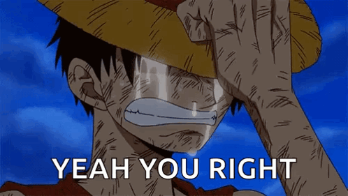 Luffy One Piece GIF