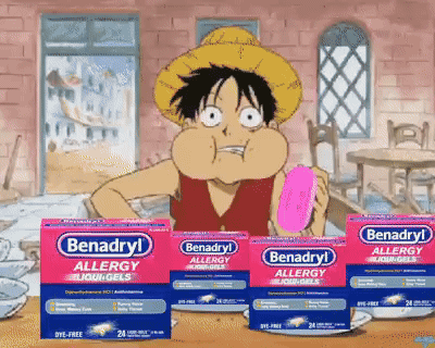 Luffy One Piece GIF