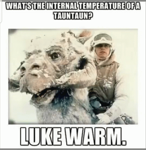 Luke Warm Tauntaun GIF. This 483 x 498 animated GIF is part of our luke skywalking on these haters collection. Created by Gunny17. View the original…