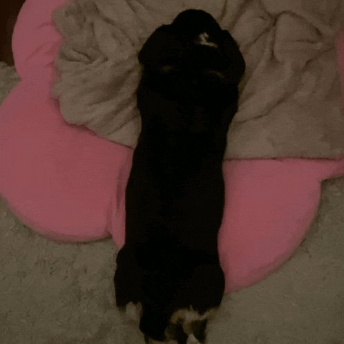 Lulu Lulu Side Eye GIF