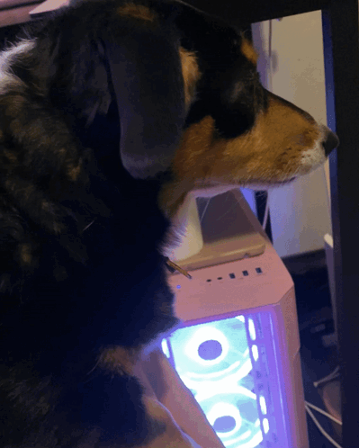 Lulu Side Eye Judge GIF