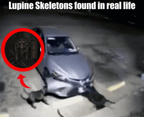 Lunacid Lupine Skeleton GIF