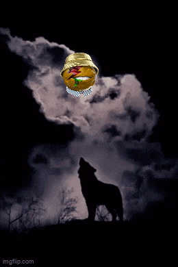 Lunatics Lunacy GIF