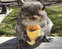 Lunch Time GIF