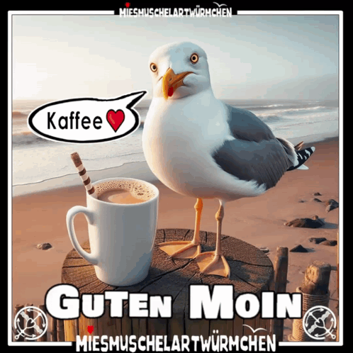 Möwe Kaffee GIF