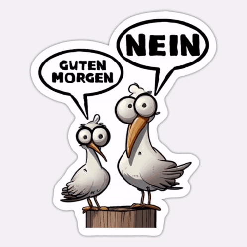 Möwe Morgens GIF