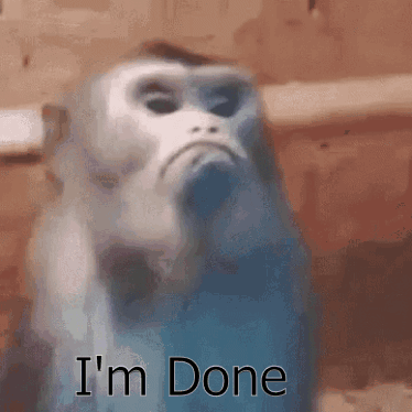 M2 GIF