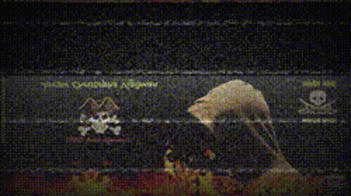 M2c Tumblr Glitch GIF. This 498 x 278 animated GIF is part of our relationship goals tumblr collection. Related themes include glitch. Created by…