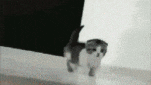 Mac And Cheese Party GIF