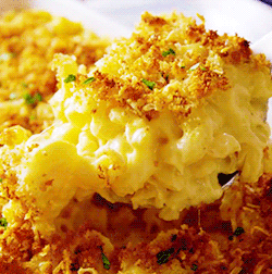 Mac And Cheese Pasta GIF