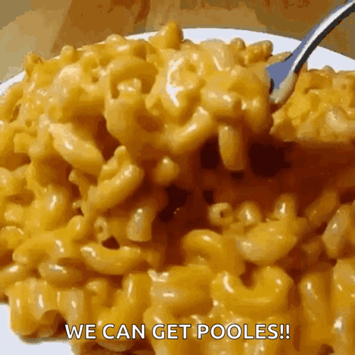 Mac And Cheese Pasta GIF