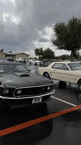 Mach 1 Boss 302 GIF