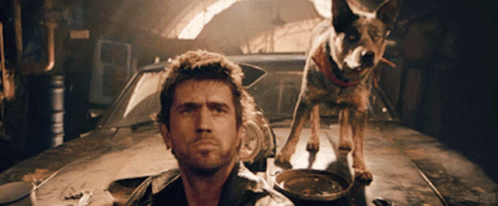 Mad Max Dog Amused GIF. This 498 x 206 animated GIF is part of our mad max mediocre collection. Created by wulf1220. View the original animation, share it…