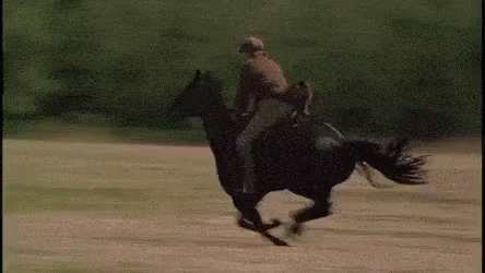 Mad Queen Yes GIF. This 444 x 250 animated GIF is part of our horse kick collection. Created by lovelife123. View the original animation, share it, or…