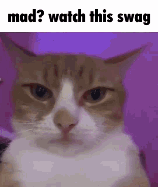 Mad GIF