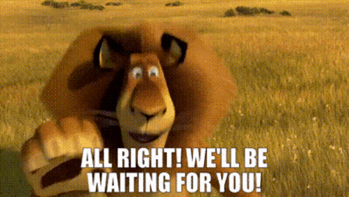 Madagascar Alex The Lion GIF