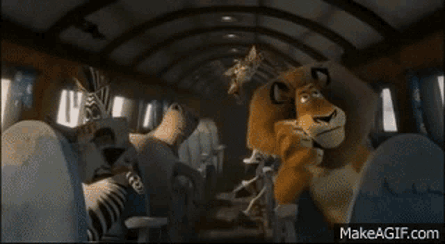 Madagascar Emergency Landing GIF