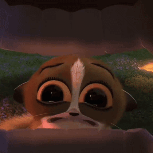 Madagascar Mort Madagascar GIF